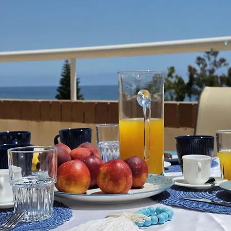 Oasis Marino